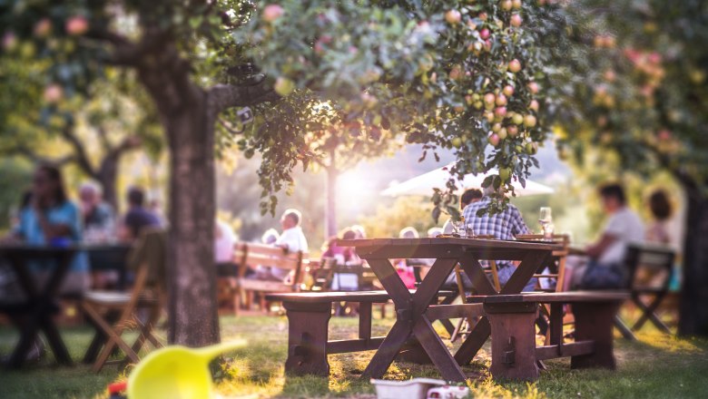 Wine tavern Polz guest garden, © Daniela Matejschek A cozy guest garden with wooden tables under apple trees, with toys in the foreground.
