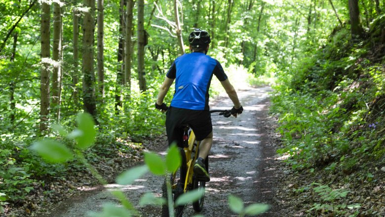 MTB tours in the Waldviertel, © Donau NÖ_Barbara Elser MTB biker on his bike on the forest path from behind