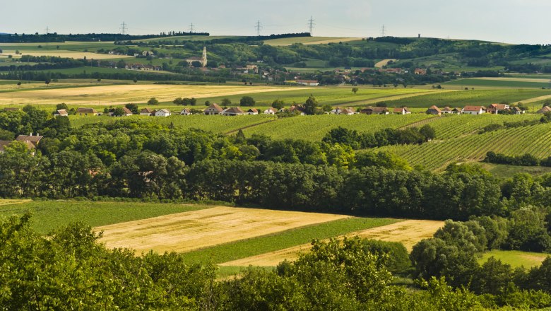 Zellerndorf, © Gemeinde Zellerndorf Landscape with fields, trees and a village in the background.
