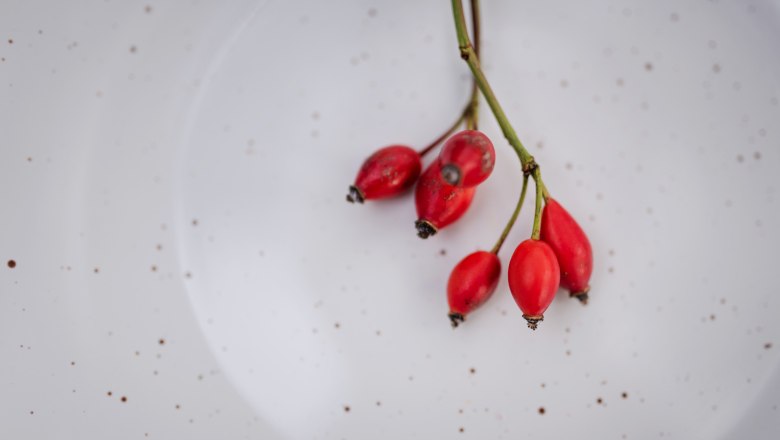 Rose hips (Hetscherl) Focus, © Niederösterreich Werbung/Daniela Führer Close-up of red rose hips on a white, speckled background.
