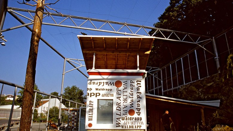 Waldrapp Waidhofen, © Verein Waldrapp An enclosure with a Northern Bald Ibis bird on a roof and a man watering the ground.