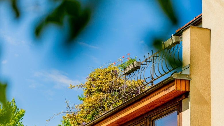Woltron Manor, © Wiener Alpen / Christian Kremsl Close-up of a part of a building with plants and blue sky in the background.