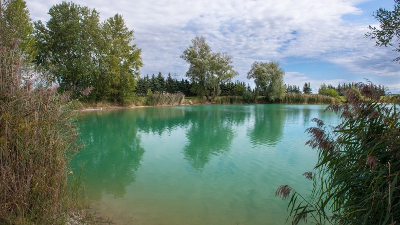 Trasdorf bathing lake, Atzenbrugg, © Richard Marschik A calm lake with clear, turquoise water, surrounded by trees and reeds under a cloudy sky.