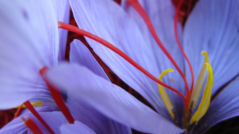 You can pull stitches yourself in the fall, © Bernhard Kaar You can pull stitches yourself in the fall, © Bernhard Kaar