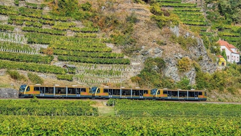 Wachau Railway, © Kerschbaummayr A Wachau Railway train travels through a picturesque vineyard landscape with terraced vines and a small house in the background.