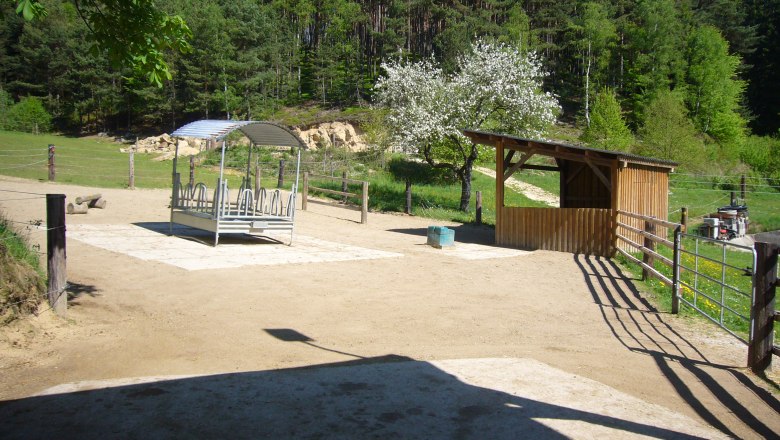 Horse farm run, © Pferdehof Kurzmann Horse farm run, © Pferdehof Kurzmann