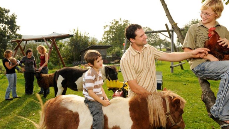 animals Kerndler, © Kerndlerhof People and animals on a farm, children riding ponies, a boy holding a rooster.