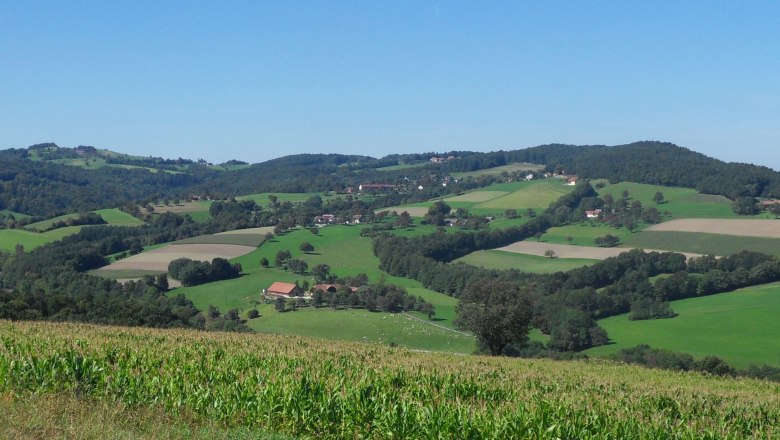 Neustift-Innermanzing, © Neustift-Innermanzing Landscape with green fields and hills under a blue sky.