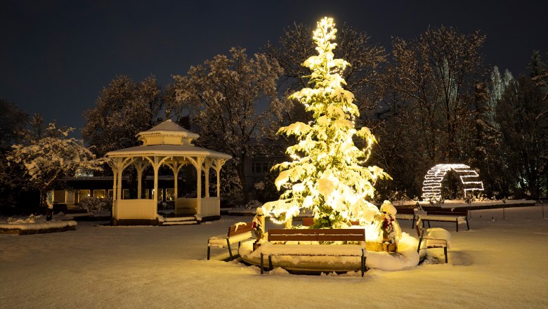Winter impressions, © Michael Weller Snow-covered tree and pavilion in the city park