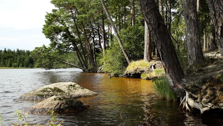 Lake Edlesberg, © weinfranz Shore of Lake Edlesberg with trees and rocks.