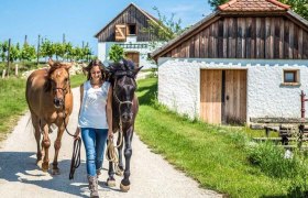 Horse moments, © Cornelia Ulrich Horse moments, © Cornelia Ulrich