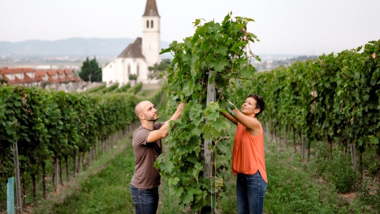 Winery Jatschka, © Astrid Bartl Two people working in a vineyard with a church in the background.