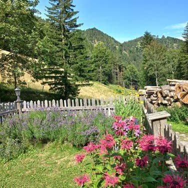 Garden, © Manuela Heher Garden, © Manuela Heher