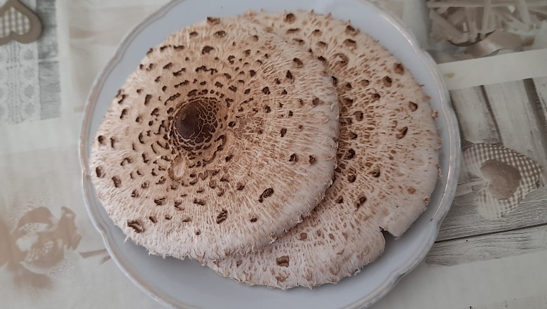 Parasol found in the area, © Ferienhaus Leopold Parasol found in the area, © Ferienhaus Leopold