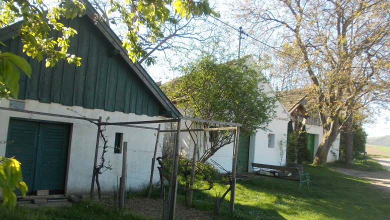 Wine cellar lane Dürnleis, © Gritsch Rural scene with old buildings, trees and a bench in the countryside.