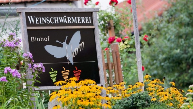 Wine swarm signage, © Florian Schulte Sign with the inscription 'Weinschwärmerei Biohof Harm' in a flowering garden.