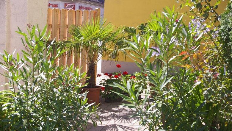 Green oasis, © Fam. Zangl A small garden with palm trees, oleanders and colorful flowers in front of a yellow building.