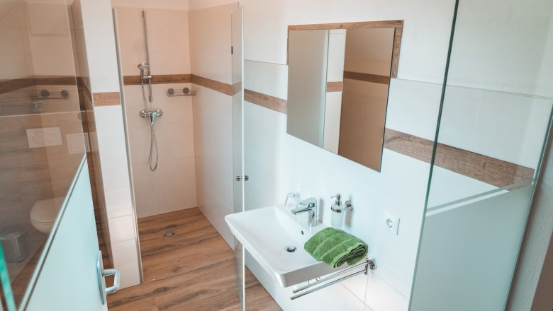 Guest room with bathroom, © Matthias Auer Modern bathroom with shower, washbasin and mirror.