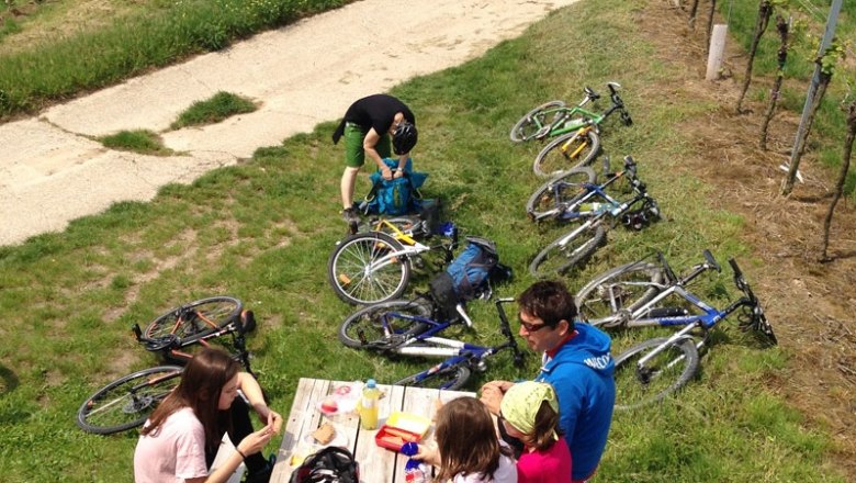 Fels am Wagram lookout point with rest area, © Donau Niederösterreich, steve.haider.com Group of people having a picnic next to bicycles on a meadow.