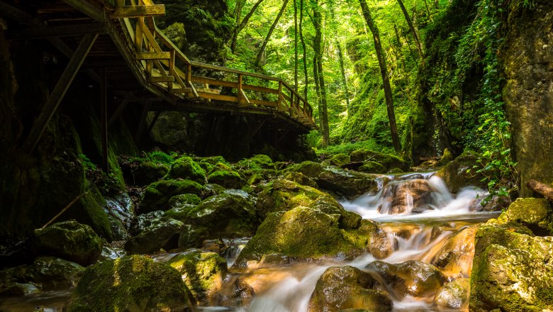 Johannesbach Gorge, © Wiener Alpen/Christian Kremsl A wooden footbridge leads through a green gorge with flowing water and moss-covered rocks.