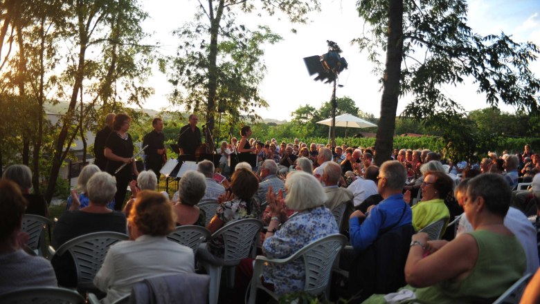 Pleyel Museum, concert, © IPG Pleyel Museum, concert, © IPG