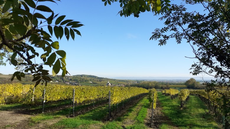 Mordthal view, © Verena Schnatter Mordthal view, © Verena Schnatter