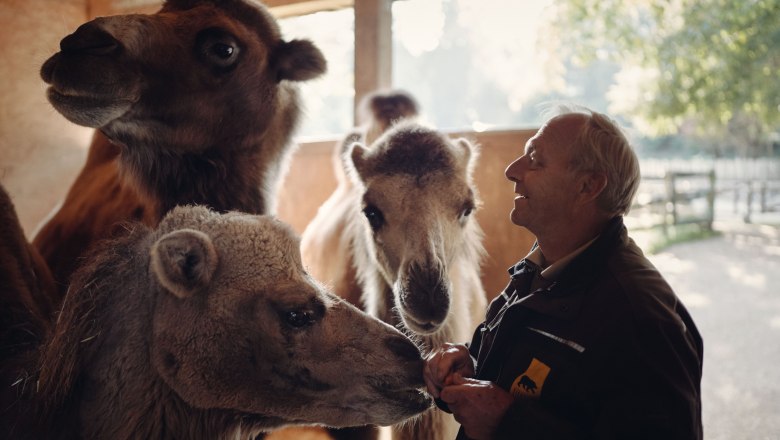 City of Haag Zoo, © Moststraße, dochbodnliacht City of Haag Zoo, © Moststraße, dochbodnliacht