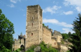 Kaja castle ruins, © Burgruine Kaja Ruins of Kaja Castle surrounded by trees and under a blue sky.