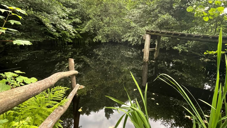 Private natural swimming pond above the vacation apartment, © 1000Krauthof Private natural swimming pond above the vacation apartment, © 1000Krauthof
