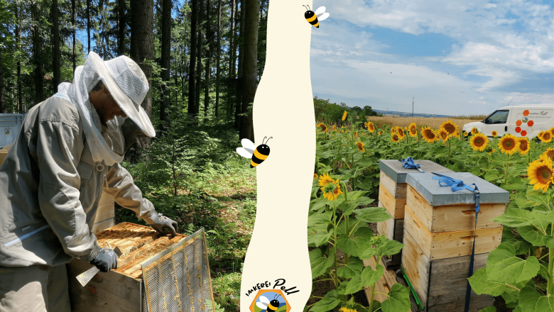 Bee hike in the Waldviertel, © Imkerei Pell Beekeepers at work in the forest and beehives in a sunflower field.