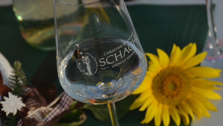 Glass, © Schachl Harald Wine glass with bow tie, sunflowers and wine bottles.