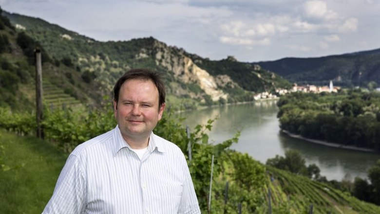 Böhmer Winery, © Monika Loeff Man standing in a vineyard with river and hills in the background.
