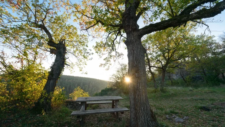 Ruin Schimmelsprung, © Matthias Schickhofer Ruin Schimmelsprung, © Matthias Schickhofer