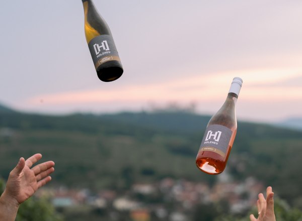 Holzheu Weinhof 1 new, © Anastasia Kudryasheva Bottles thrown into the air