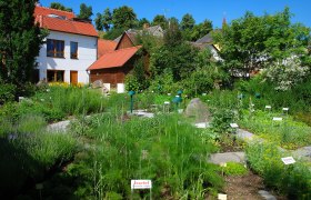 Kräuterpfarrer-Weidinger-Center, © Kräuterpfarrer-Weidinger-Zentrum Herb garden with signs and buildings in the background.