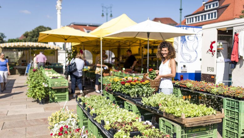 Naschmarkt Tulln, © Stadtgemeinde Tulln, Robert Herbst Woman at a market with flowers and plants.