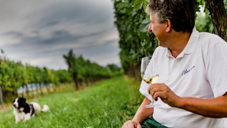 Herzinger Winery, © schwarz-koenig.at Herzinger Winery, © schwarz-koenig.at