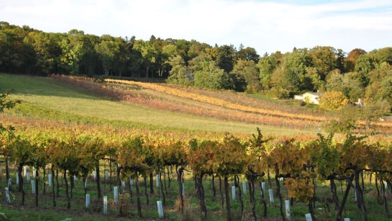 Barmhart Valley, © Gemeinde Maria Enzersdorf Barmhart Valley, © Gemeinde Maria Enzersdorf