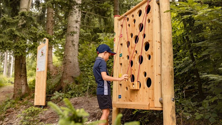 Ball track, © Wexl Arena St. Corona am Wechsel A boy plays on a wooden marble run in the forest.