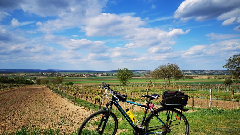Well house with a view, © Weinstraße Weinviertel Bicycle in front of a landscape with fields and blue sky.