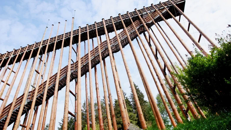 Schrems high moor, © WeinFranz Schrems high moor, © WeinFranz