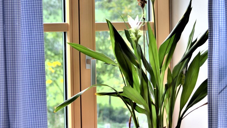 Höblinhof, © Gluschitz-Goebel A window with blue curtains and a plant in a white pot on the windowsill.