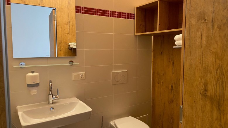 Bathroom with shower and WC, © Wiener Alpen Modern bathroom with washbasin, mirror, WC and wooden shelf.