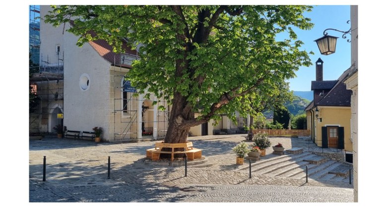 View of the church square, © @KR A sunny church square with a large tree in the middle, surrounded by buildings and a staircase.