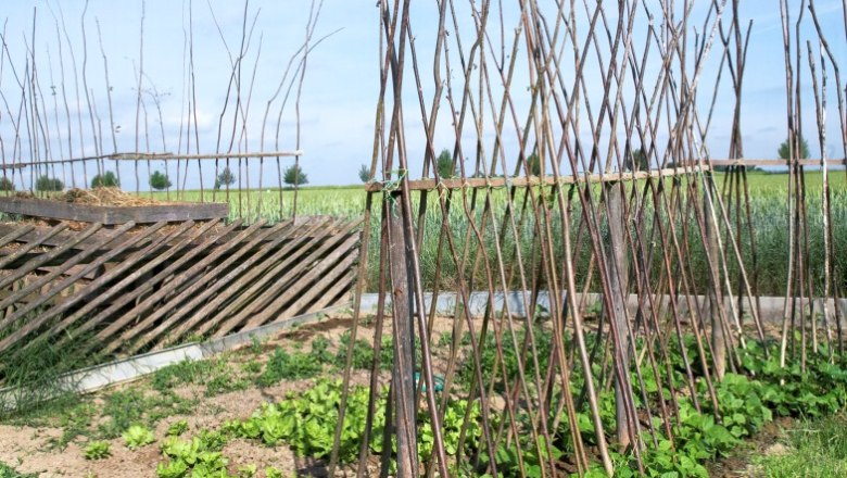 Fire-Earth Garden, © Natur im Garten/Alexander Haiden A garden with wooden frames for climbing plants and green vegetables in the foreground.