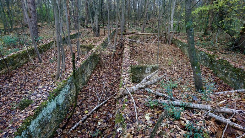 Foundation walls of barracks of the STALAG XVII B camp, © Edith Blaschitz Foundation walls of barracks of the STALAG XVII B camp, © Edith Blaschitz