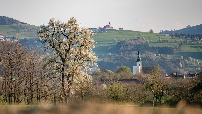 View of St. Peter and St. Michael, © Uschi Wolf View of St. Peter and St. Michael, © Uschi Wolf