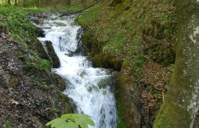 Hohenberg waterfall, © Marktgemeinde Hohenberg A small waterfall in the forest, surrounded by trees and moss.