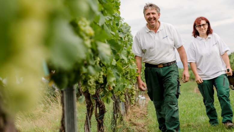 Herzinger Winery, © schwarz-koenig.at Herzinger Winery, © schwarz-koenig.at