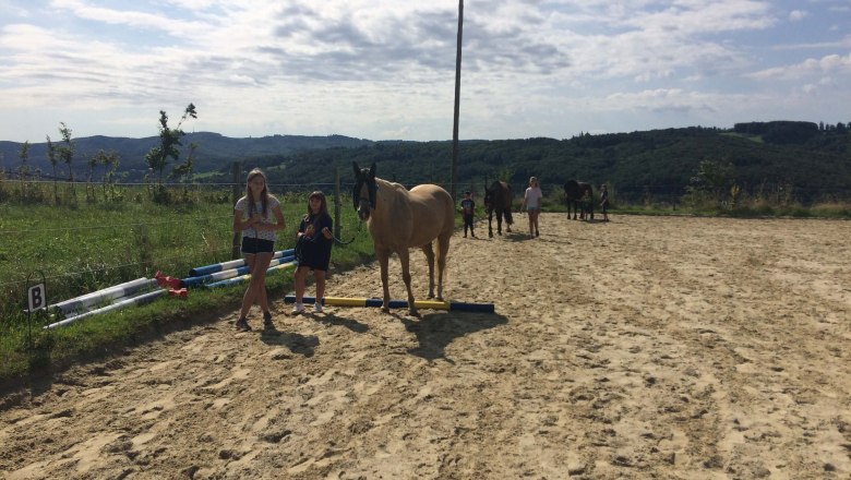 Horses at the 3er Hof, © 3er Hof Horses at the 3er Hof, © 3er Hof